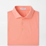 Solid Performance Mesh Polo